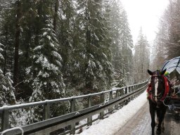 Kulig, 28.02.2025